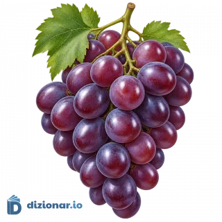 Grappolo d'uva turgido e lucido